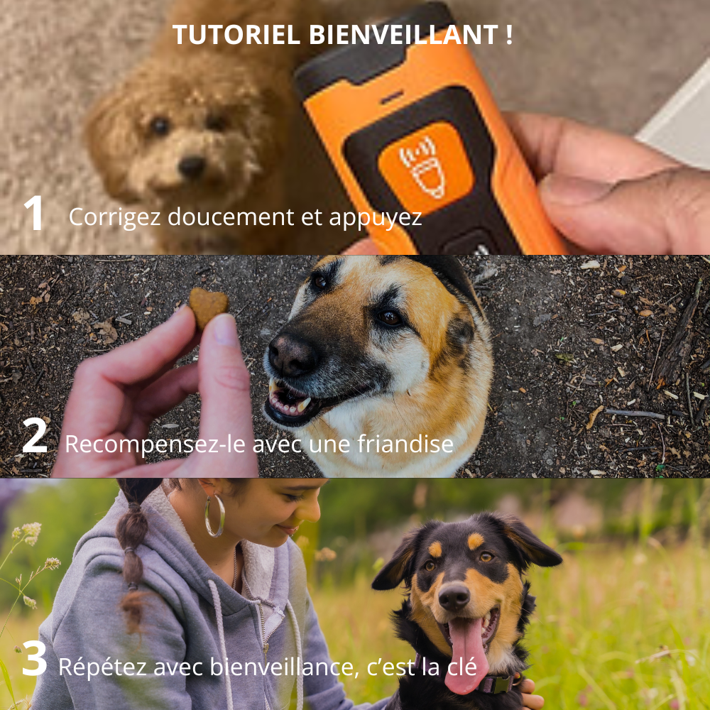 Appareil anti-aboiement chien