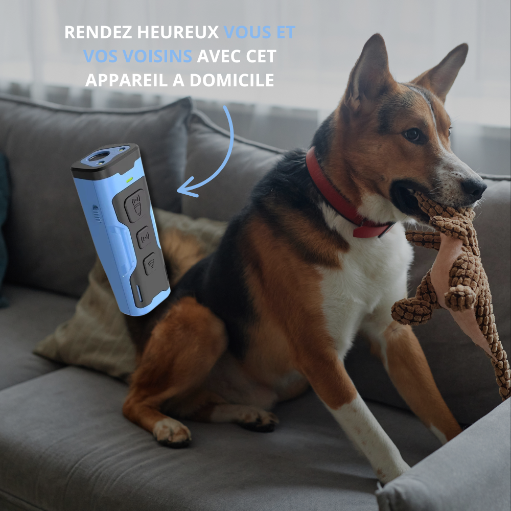 Appareil anti-aboiement chien